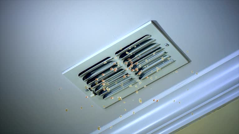 Best Affordable Air Duct Cleaning  in Manorhaven, NY